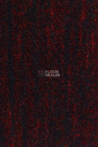 Грязезащитные покрытия Vebe Arco Pc Arco 40 фото 1 | FLOORDEALER